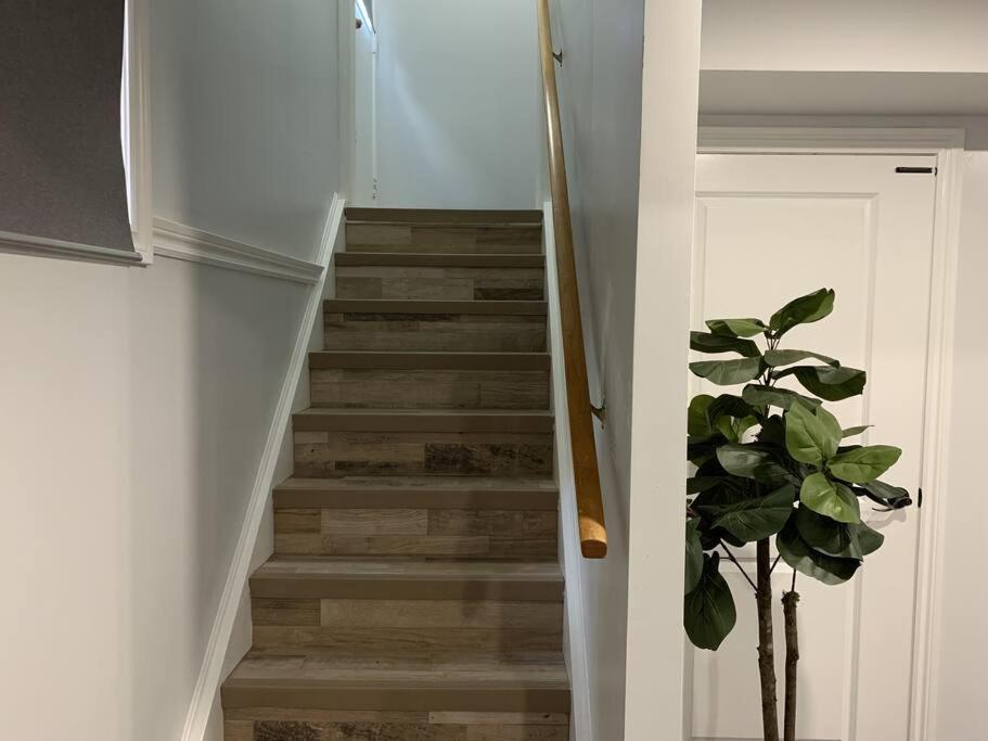*Cozy, Newly Renovated, Fully Equipped* Apartment ฮามิลตัน ภายนอก รูปภาพ